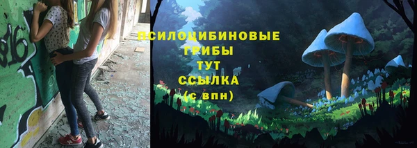 мдпв Покачи